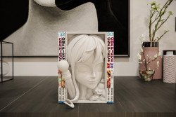 Sujetalibros Nami Anime One Piece