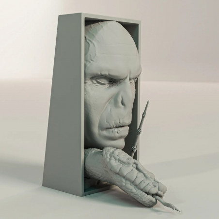 SujetaLibros Voldemort Harry Potter
