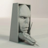 SujetaLibros Voldemort Harry Potter