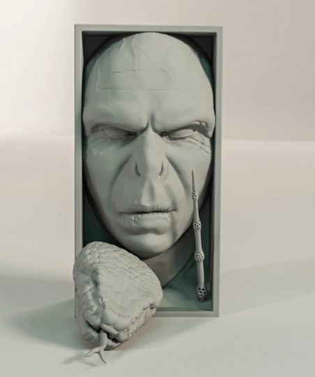 SujetaLibros Voldemort Harry Potter