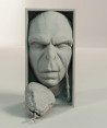 SujetaLibros Voldemort Harry Potter