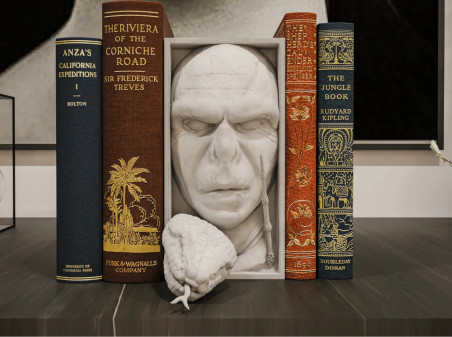 SujetaLibros Voldemort Harry Potter