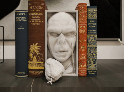 SujetaLibros Voldemort Harry Potter