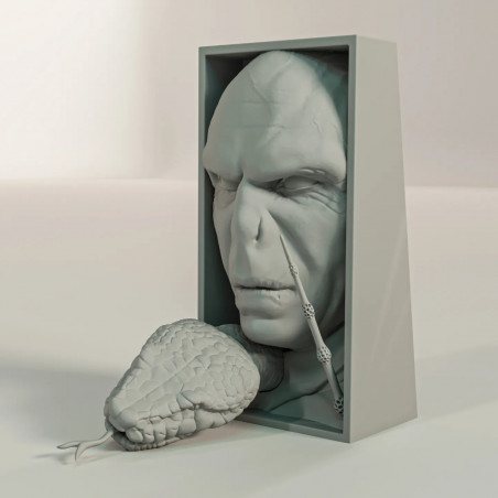 SujetaLibros Voldemort Harry Potter