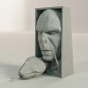 SujetaLibros Voldemort Harry Potter
